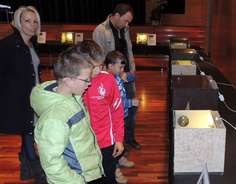 DSCN6739_JPG-1355785578