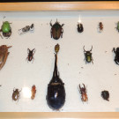 DSCN6740_JPG-1355785582