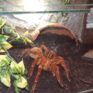 DSCN6741_JPG-1355785586