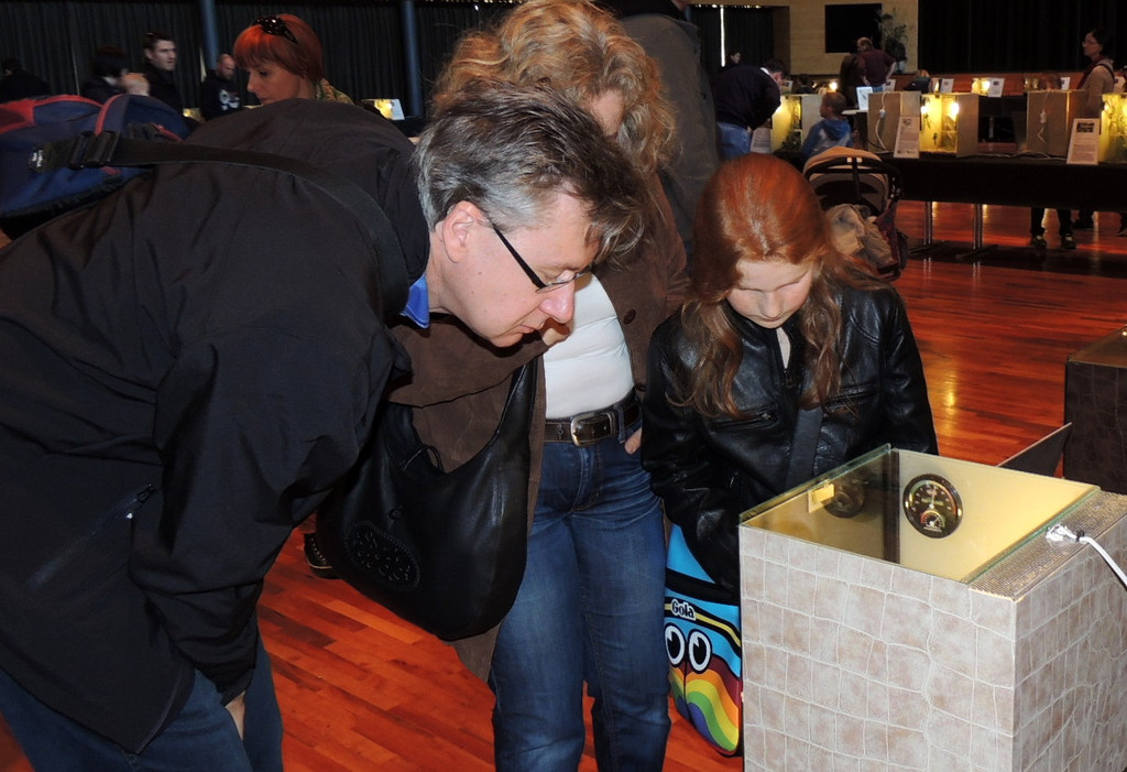 DSCN6747_JPG-1355785593