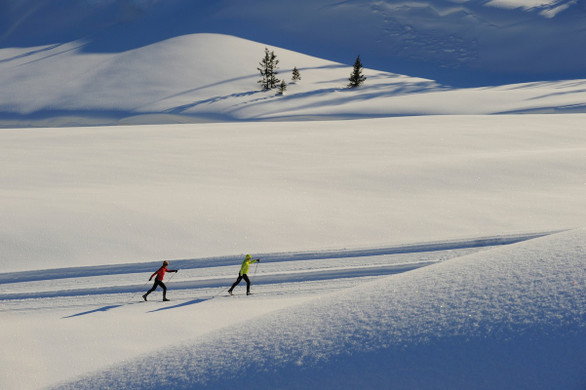 Lech Zuers am Arlberg Langlauf 1 by Sepp Mallaun __ LZTG.JPG