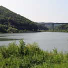 Wienerwaldsee_APA3.jpg