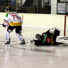 HC Rankl - VEU 2012 874_jpg-1355825838