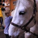 Heilpädagogisches Reiten und Voltigieren in der Villa Momo