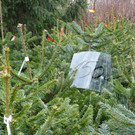 18-12-2012 16-11-02.jpg