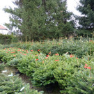 18-12-2012 16-12-30.jpg