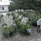 18-12-2012 16-12-15.jpg