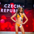DAB1606-20121214.jpg