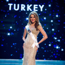 IBD0264-20121214.jpg