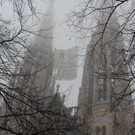 IMG_7651.JPG