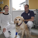 3-hund-AN.jpg