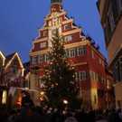 IMG_5224_jpg-1355923411