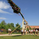 2 - Maibaumaufstellen in Liefering - FMT.JPG