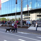 17 - Hundeschau - FMT-MW.JPG