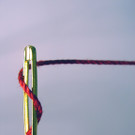 50816002.JPG