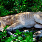 607443_original_R_by_Peter Freitag_pixelio_de.jpg
