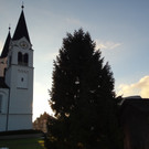 Götzner Christbaum  Dezember 2012