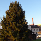DSC01394_JPG-1356008226