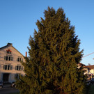 DSC01393_JPG-1356008255
