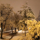 winter2-fmt.JPG
