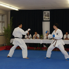 DSC03163.JPG