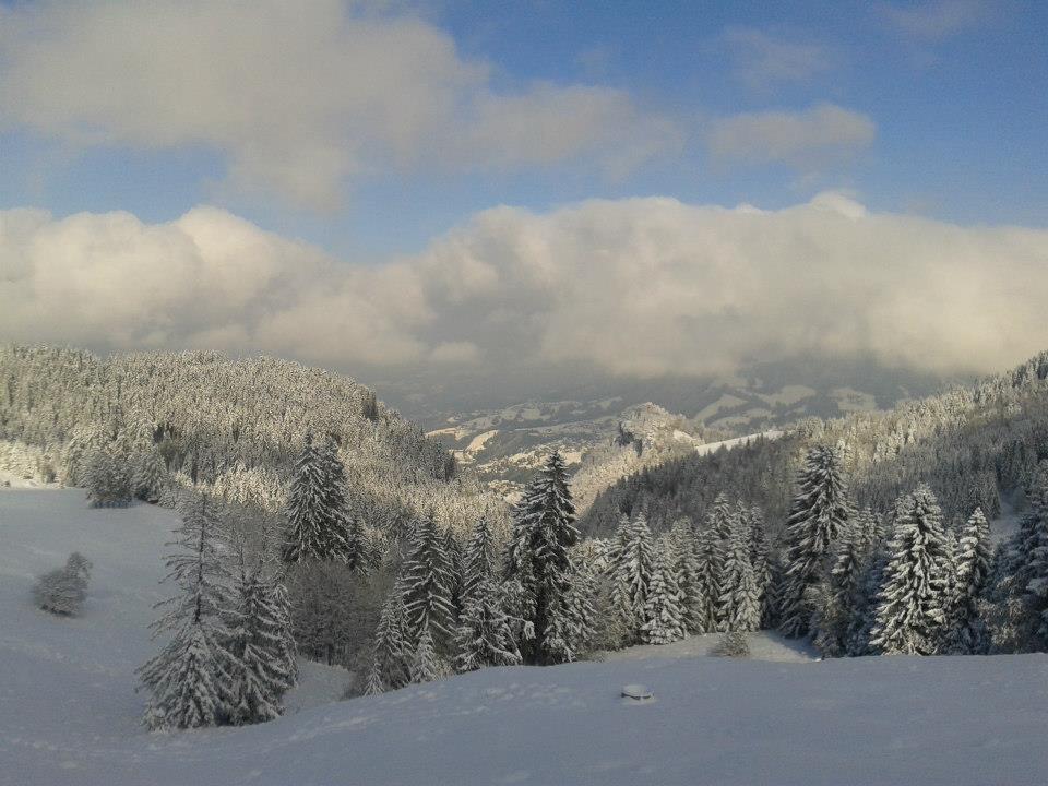 Schuttannen 2_jpg-1356084160