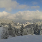 Schuttannen 2_jpg-1356084160