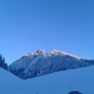 Schuttannen 3_jpg-1356084161