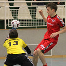 IMG_3446_jpg-1356166332