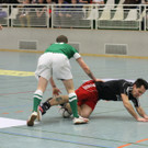IMG_3581_jpg-1356166609