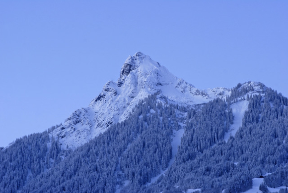 _DSC01600001.JPG