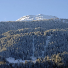 _DSC02810001_1.JPG