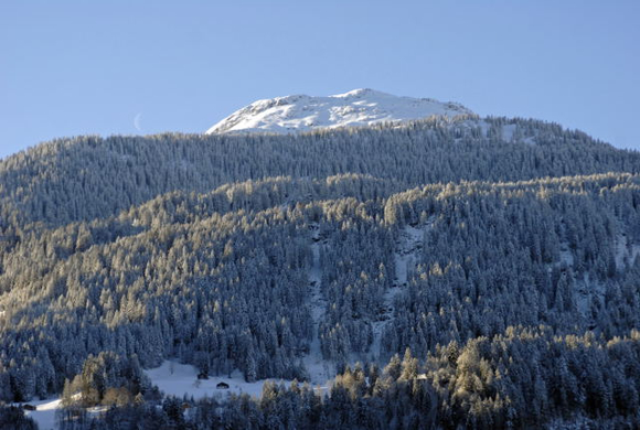 _DSC02810001_1.JPG