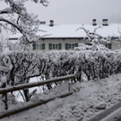 _DSC09410001_1.JPG