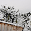 _DSC09930003.JPG