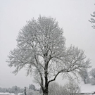 _DSC10120011.JPG