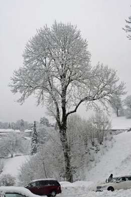 _DSC10120011.JPG