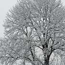 _DSC10160012.JPG