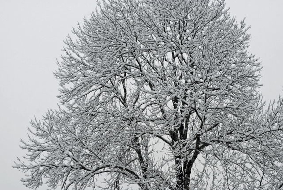 _DSC10160012.JPG