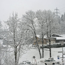 _DSC10170013.JPG