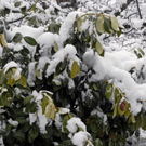 _DSC10260016.JPG