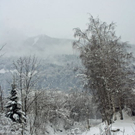 _DSC10290017.JPG