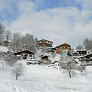_DSC0231_10003.JPG