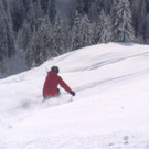 22122012811_jpg-1356190175