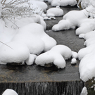 _DSC0241_10001_1.JPG
