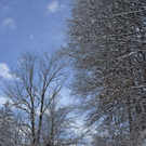 _DSC0270_10001.JPG