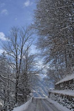 _DSC0270_10001.JPG