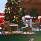 BK_Krippenausstellung_Altenstadt 21_jpg-1356205661