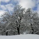 _DSC0285_10001.JPG