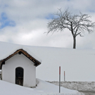 _DSC0301_10003.JPG